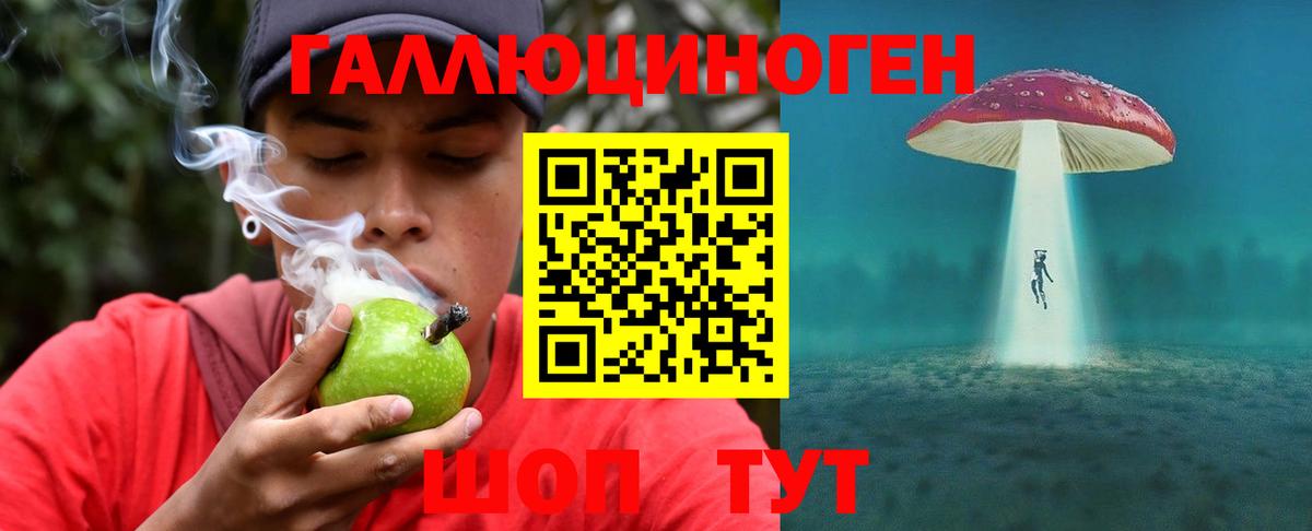 Псилоцибиновые грибы Psilocybe Топки